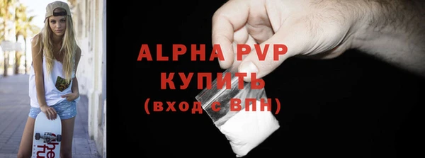 стафф Аркадак
