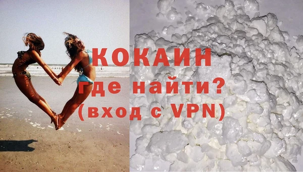 стафф Аркадак