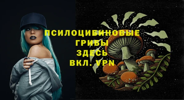 скорость Гусиноозёрск