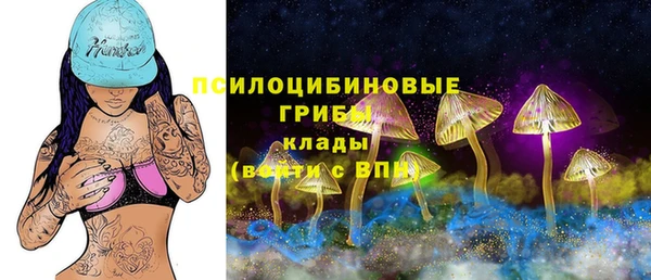 стафф Аркадак