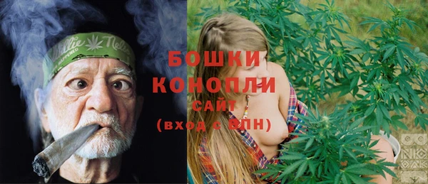 стафф Аркадак