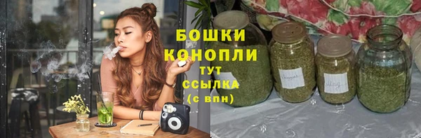 кристаллы Гусь-Хрустальный